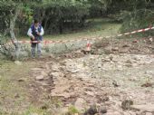 INVESTIGACION EN CURSO I