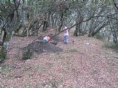 INVESTIGACION EN CURSO III